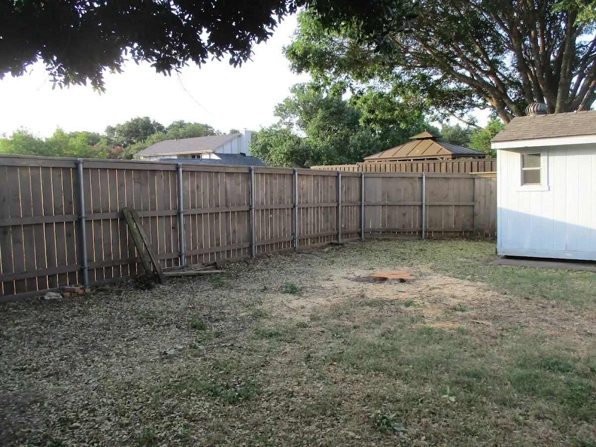 Cleared yard after professional tree removal in Cogswell